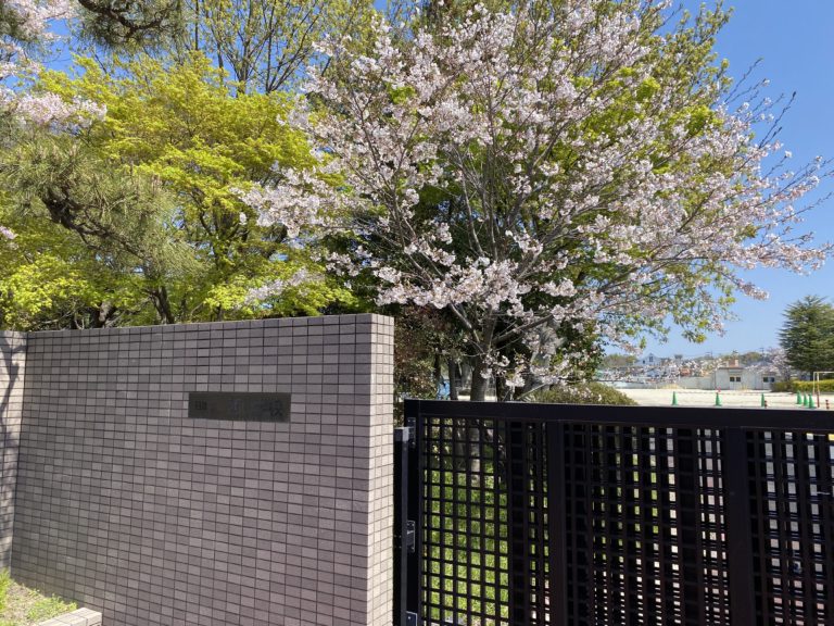 小学校、高校のご入学おめでとうございます！　楽しい学校が始まるはずが・・・