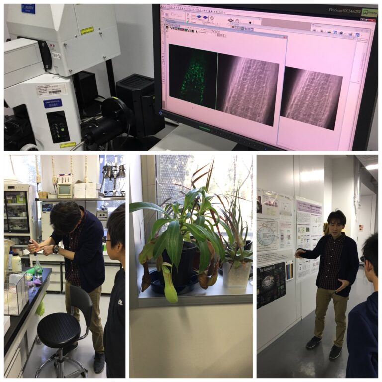 「好き」を学び続けて大学へ！