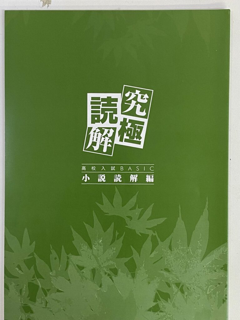 読書が好きなのに点数が取れない・・・国語の入試における「小説の読み方」とは？