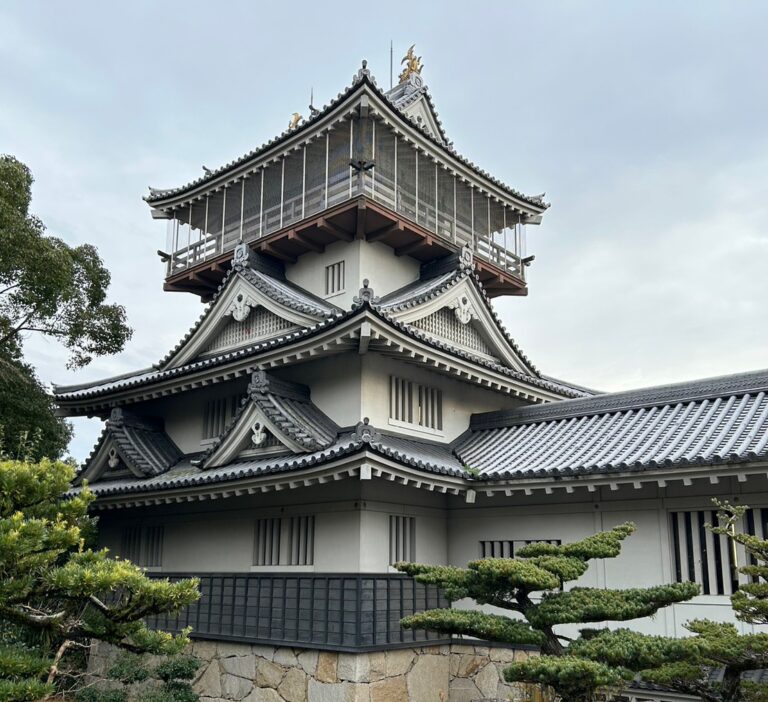 今日の大河ドラマ「どうする家康」は小牧・長久手の戦い！　ここ日進も戦場だったって知ってました？